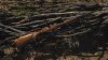 B14 Timber, 308 Win