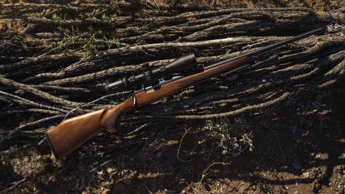 B14 Timber, 308 Win