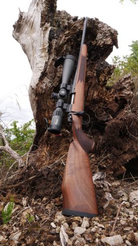 B14 Timber, 308 Win