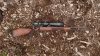 B14 Timber, 6,5 Creedmoor
