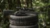 B14 R Carbon, 22WMR