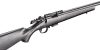  BMR Carbon, 17 HMR