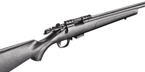  BMR Carbon, 17 HMR