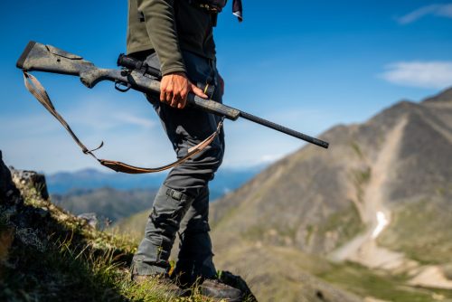 Wilderness Sierra Carbon (.308 win.) 
