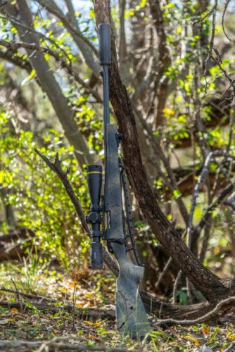 Wilderness Sierra, (.300 Win Mag, balos) 