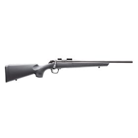 Rimfire Basic